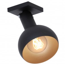 Griestu lampa ALDEX FORUS 833PLG1