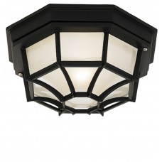 Outdoor ceiling lamp ENDON Parkway IP44 60W YG-0100-BL