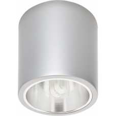 Потолочный светильник Nowodvorski Downlight Silver 4867