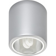 Ceiling lamp Nowodvorski Downlight Silver 4868