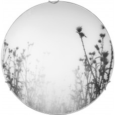 Wall and ceiling light Nowodvorski Thistles 5620