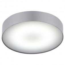 Ceiling lamp for bathroom Nowodvorski Arena Silver LED 6771