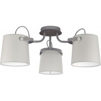 Griestu lampa TK Lighting Click Gray 1263